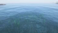 The ocean in Minecraft is quite empty when it comes to mobs (Image via Mojang Studios)